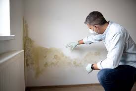 Best Emergency Mold Remediation  in North Syracuse, NY